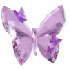 🦋