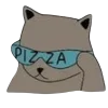 🐈