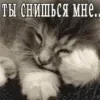 🥺