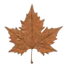 🍁