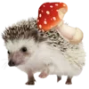 🦔