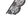 ⭐️