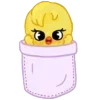 🐥
