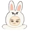 🐰