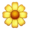 🌼