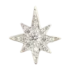 🌟