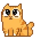 😼