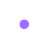 🟣