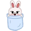 🐰
