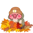 🍁