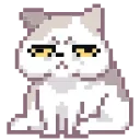 😼