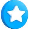 🌟