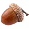 🌰