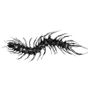 🐛