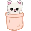 🦙