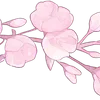 🌸