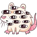 👀
