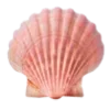🐚