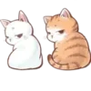🐱
