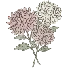 🌸