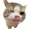 🎂