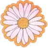 🌼