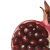 🍎