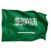 🇸🇦