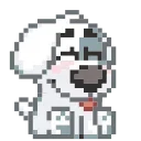 🐶