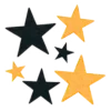 🌟