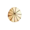 🟤