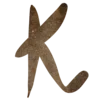 🔤
