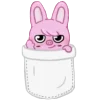 🐷