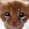 😭
