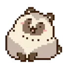 🐻
