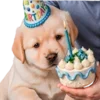 🥳
