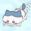 🐳