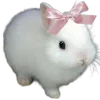 🎀