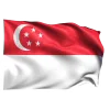 🇸🇬