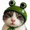 🐸