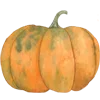 🍆