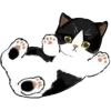 🐈