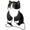 🐈