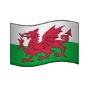 🏴󠁧󠁢󠁷󠁬󠁳󠁿