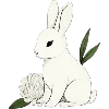 🐇