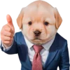 😎