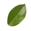 ⭐