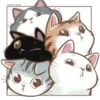 🐱