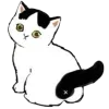 🐈