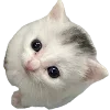 🫵